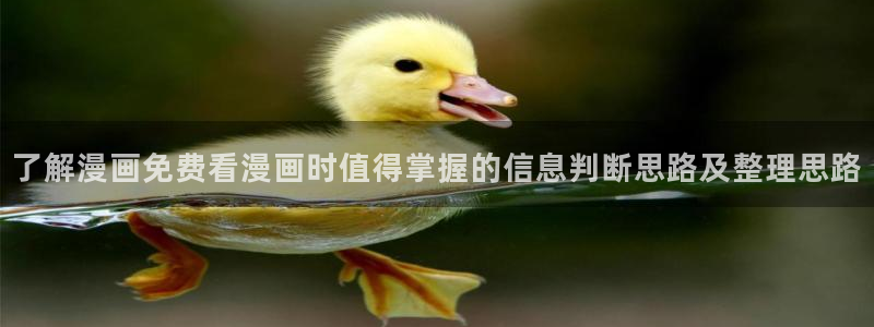 羞羞漫画漫画网址大全：了解漫画免费看漫画时值得掌握的信息判断思路及整理思路